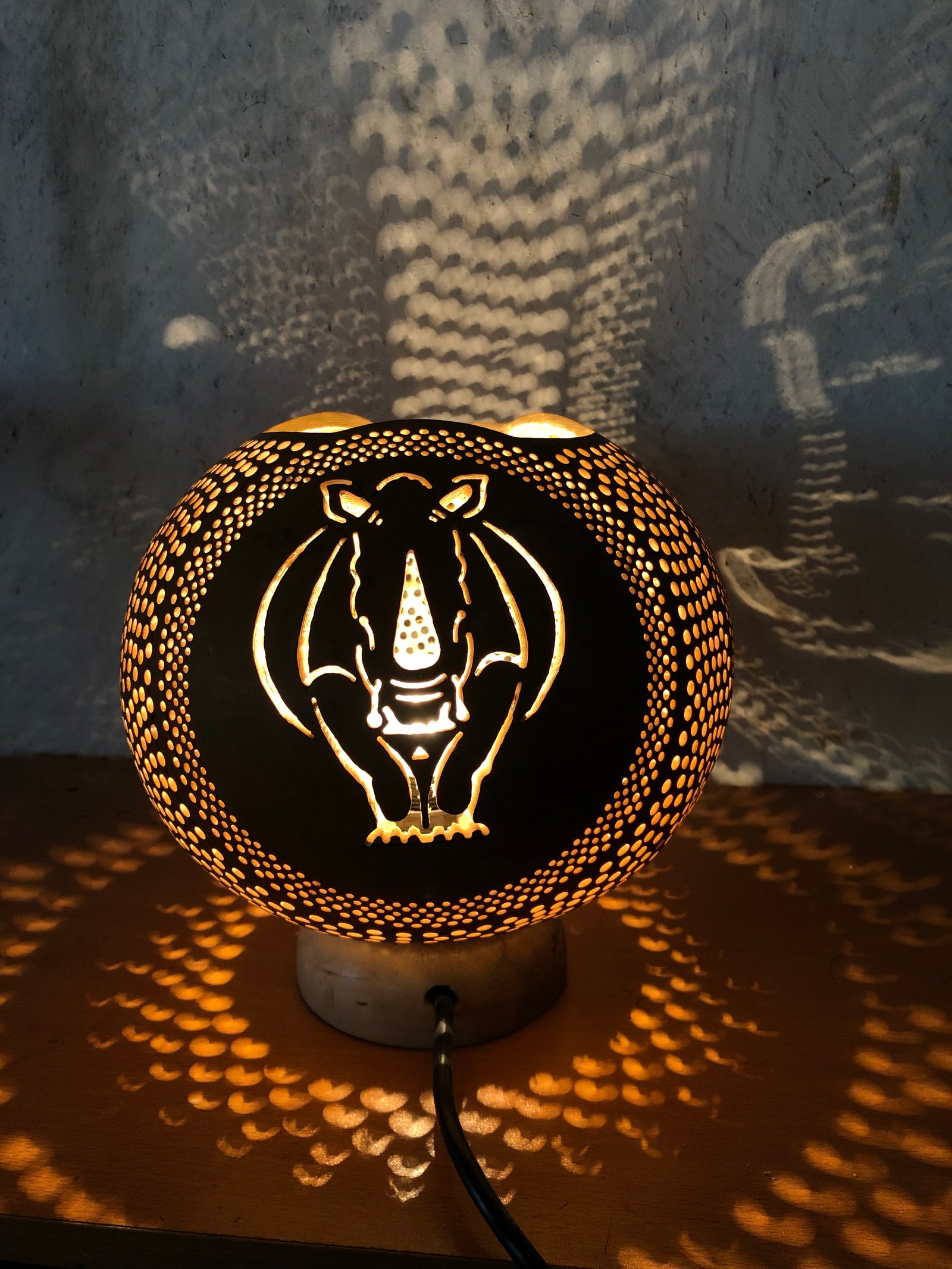 African Rhinoceros 5