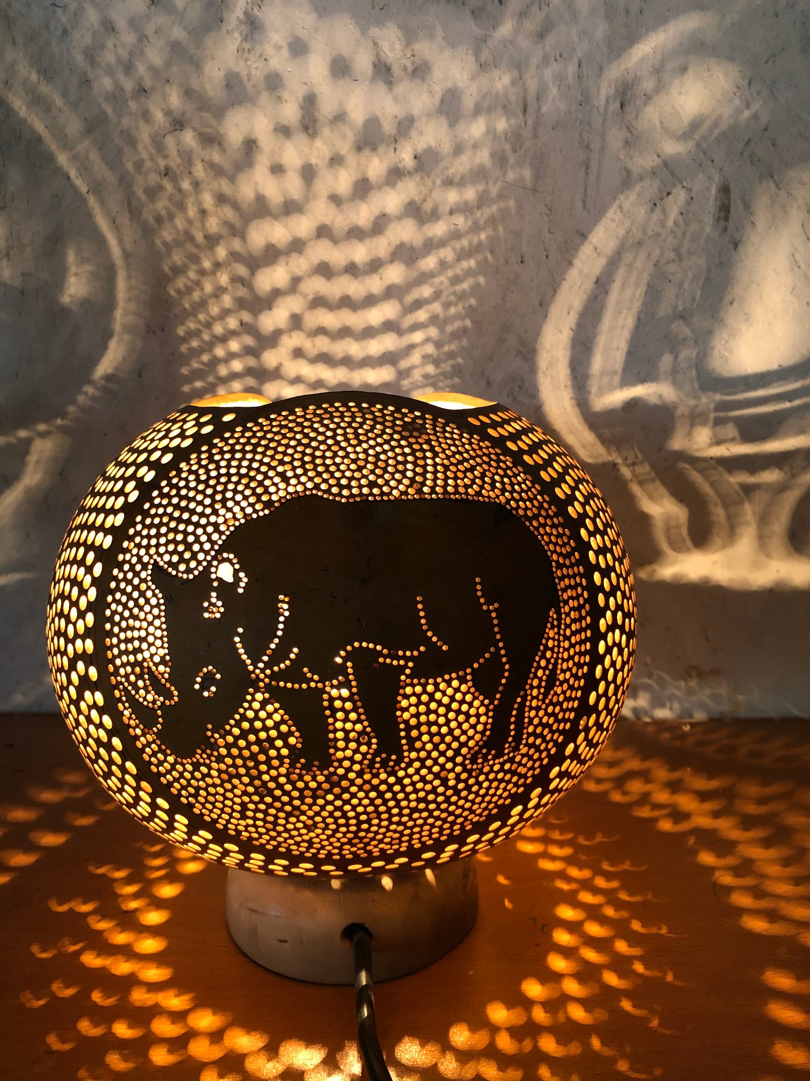 African Rhinoceros 4